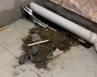 托里卫生间漏水检测哪家好