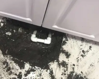 托里查漏水哪家好