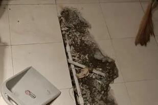 托里卫生间漏水检测电话